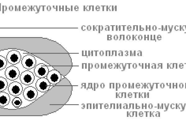 Даркнет магазин заказать посылку